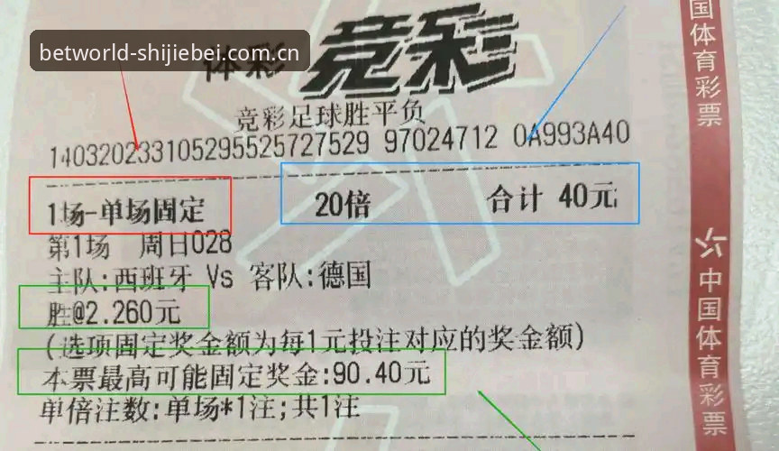 官方体彩vs第三方平台：世界杯投注方法全面对比，哪个更适合你？